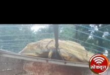 कत्तलीसाठी जनावरे विक्रीस नेणाऱ्या आरोपी विरुध्द कारवाई : २९ जनावरांची मुक्तता