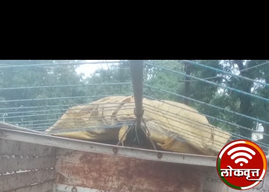 कत्तलीसाठी जनावरे विक्रीस नेणाऱ्या आरोपी विरुध्द कारवाई : २९ जनावरांची मुक्तता