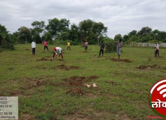 मनरेगा योजना अंतर्गत ग्रामपंचायत चीचबोडी द्वारा दोन हजार वृक्षलागवडीचा संकल्प……