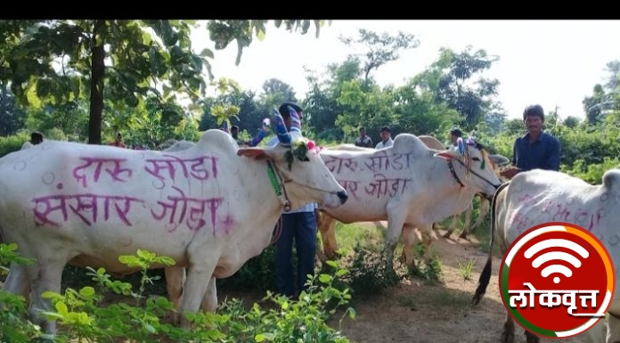 ११३ गावात साजरा झाला दारूमुक्त पोळा