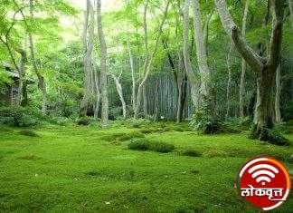 वनहक्काचे जंगल आले धोक्यात : वनसंवर्धन नियम २०२२ च्या विरोधात संघर्ष करा