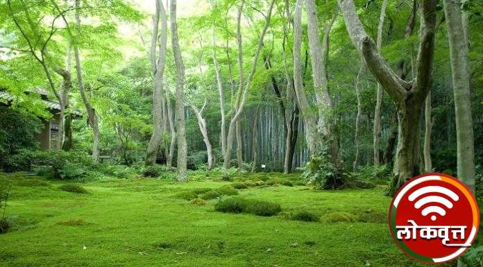 वनहक्काचे जंगल आले धोक्यात : वनसंवर्धन नियम २०२२ च्या विरोधात संघर्ष करा