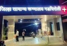 गडचिरोली जिल्ह्यात स्क्रब टॉयफस आजाराचे तिन रुग्ण