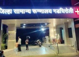 गडचिरोली जिल्ह्यात स्क्रब टॉयफस आजाराचे तिन रुग्ण