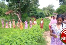 दारूबंदी टिकविण्यासाठी चिचोलीतील महिला एकवटल्या रॅलीच्या माध्यमातून विक्रेत्यांच्या घरी भेट