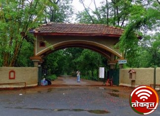 ३ ला सर्चमध्ये वेदना व्यवस्थापन ओपिडी