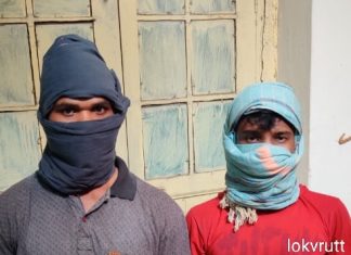 गडचिरोली: २ नक्षलवाद्यांना अटक