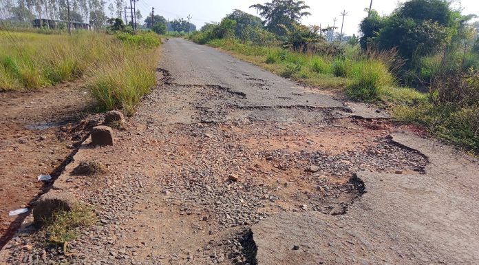 गडचिरोली – खरपुंडी रस्त्यांची दुरवस्था