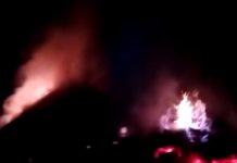 जेप्रा धान्याचे पुजणे पेटविण्याचा सत्र सुरूच