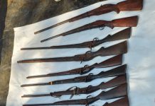 गडचिरोली: २० भरमार बंदुका पोलीसांच्या स्वाधिन.