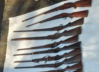 गडचिरोली: २० भरमार बंदुका पोलीसांच्या स्वाधिन.