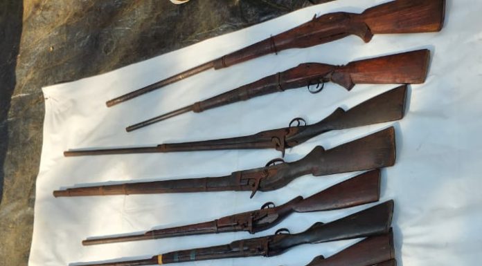 गडचिरोली: २० भरमार बंदुका पोलीसांच्या स्वाधिन.