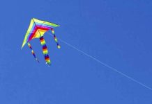 पतंग झाले जीव घेणे