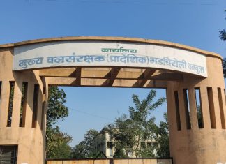 गडचिरोलीतील वनजमीन विक्री प्रकरणी RFO निलंबित