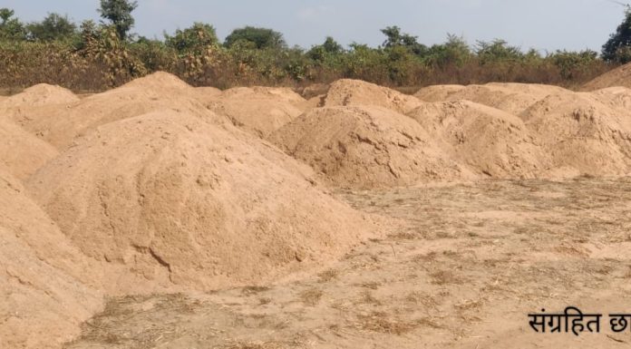 शासनाचे आदेश धडकले : सिरोंचाचे तहसीलदार निलेश होनमोरे यांचे निलंबन