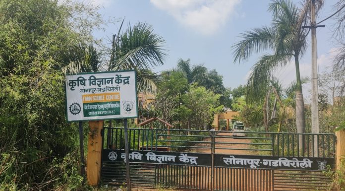 गडचिरोली कृषी विज्ञान केंद्र आवारात वाघाचा शिरकाव, बघ्यांची झुंबड