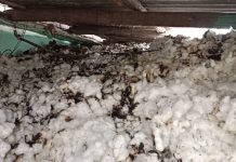 कोरपना: शार्ट सर्किट मुळे कापसाला आग