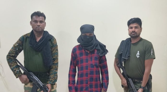 गडचिरोली: एक नक्षलवाद्यास अटक