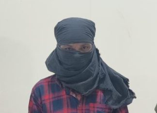 गडचिरोली: एक नक्षलवाद्यास अटक