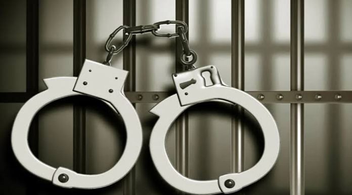 गडचिरोली : विद्यार्थिनींशी अश्लील चाळे करणाऱ्या मुख्याध्यापकास घातल्या बेड्या