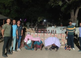 बैलगाड्या ने होत होती दारु तस्करी