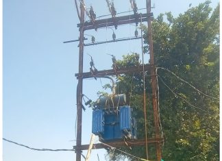 विद्युत कर्मचाऱ्यांचा करंट लागून मृत्यू