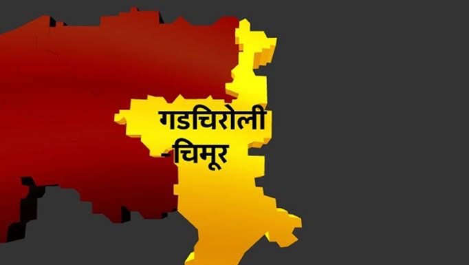 गडचिरोली-चिमूर लोकसभा क्षेत्रातील ‘या’ उमेदवारावर आहेत गंभीर गुन्हे दाखल