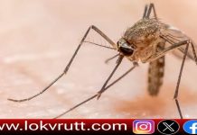 आयुषी सिंह यांच्या संकल्पनेतून टार्गेट मलेरिया विशेष मोहीम