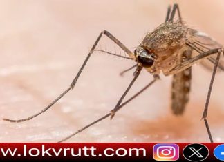 आयुषी सिंह यांच्या संकल्पनेतून टार्गेट मलेरिया विशेष मोहीम