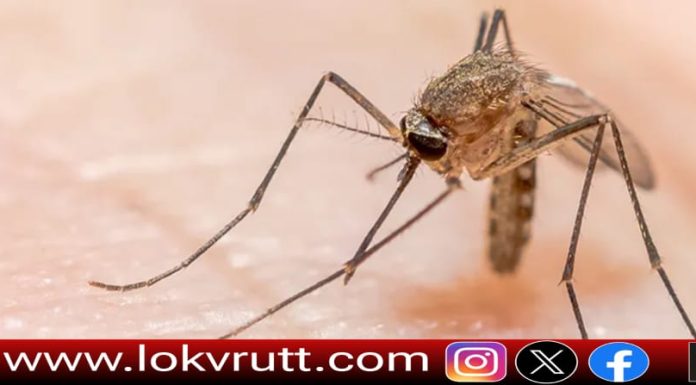 आयुषी सिंह यांच्या संकल्पनेतून टार्गेट मलेरिया विशेष मोहीम