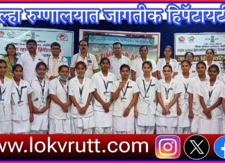 गडचिरोली जिल्हा रुग्णालयात जागतीक हिपॅटायटीस दिवस साजरा