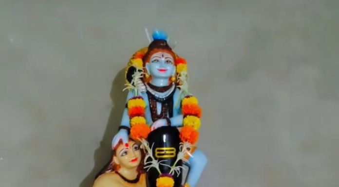 महर्षी मार्कंडेय शिव मुर्तीची स्थापना १५ सप्टेंबर ला मार्कंडादेव येथे