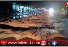 गडचिरोली – आरमोरी मार्गावर मोठमोठे भगदाड ; मंत्री महोदय केव्हा येणार तुम्ही या रस्त्याने