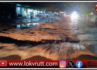 गडचिरोली – आरमोरी मार्गावर मोठमोठे भगदाड ; मंत्री महोदय केव्हा येणार तुम्ही या रस्त्याने