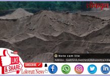 गडचिरोली : वनाधिकाऱ्यांची संगनमताने रेती तस्करांचा ‘रात्रीस खेळ चाले’