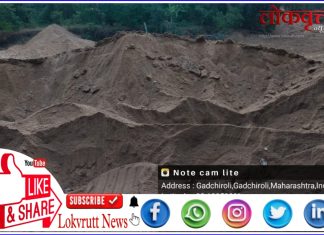 गडचिरोली : वनाधिकाऱ्यांची संगनमताने रेती तस्करांचा ‘रात्रीस खेळ चाले’