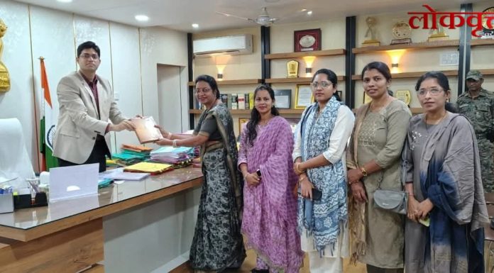 गडचिरोली चा विकास हाच ध्यास : सौ. गीता हिंगे