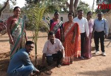 जि.प. केंद्र शाळा कुनघाडा (रै.) येथे वृक्षारोपण