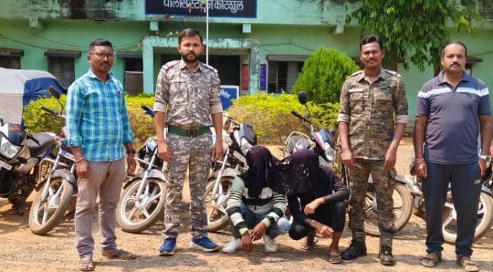 वाहन चोरीतील आरोपी जेरबंद, ९ दुचाकी जप्त