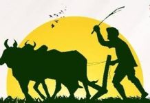 उद्या काँग्रेसचे गडचिरोलीत “शेतकरी मेळावा व शेतकरी न्याय पदयात्रा’