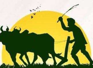 उद्या काँग्रेसचे गडचिरोलीत “शेतकरी मेळावा व शेतकरी न्याय पदयात्रा’