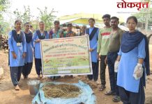 सोनापूरमध्ये वैरणीवर युरिया प्रक्रिया : कृषी विद्यार्थ्यांचा उपयुक्त प्रयोग