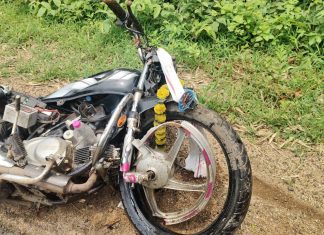 कुरखेडा : भिषण अपघातात दोघांचा जागीच मृत्यू ; ट्रकखाली येत मृतदेह छिन्नविछिन्न