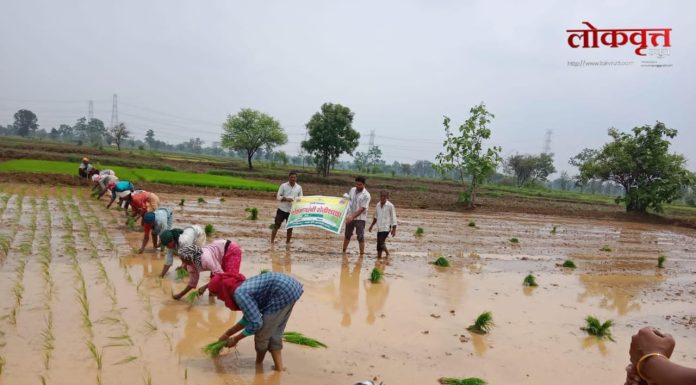 सावंगीच्या शेतात आधुनिकतेची पाऊलवाट : ‘ओळीतील पूर्ण लागवड’ पद्धतीचे प्रात्यक्षिक शेतकऱ्यांना मार्गदर्शक ठरणार