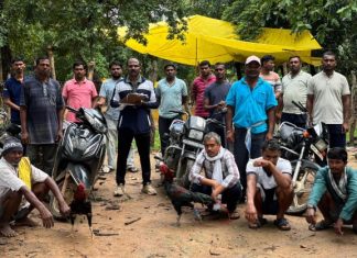 गडचिरोली: कोंबड्यांच्या झुंजीवर लावला जुगार, सहा आरोपी ताब्यात