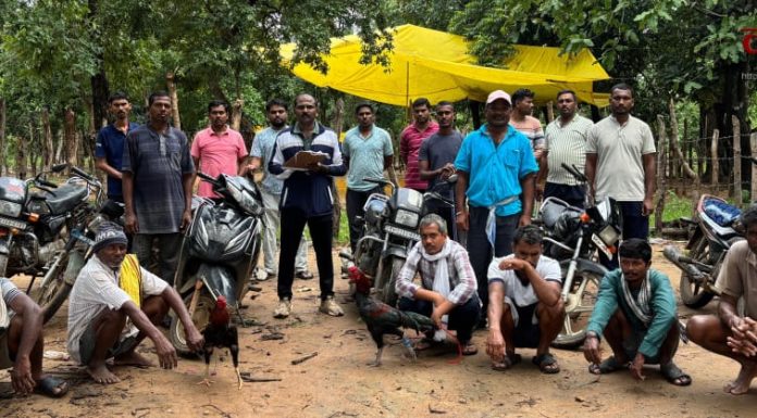 गडचिरोली: कोंबड्यांच्या झुंजीवर लावला जुगार, सहा आरोपी ताब्यात