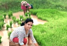 “राजकारणात सक्रीय, शेतात कार्यरत : शालिनीताई पेंदाम यांचा दुहेरी झेंडा”