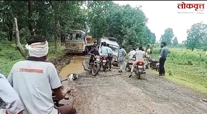 एटापली-जीवनगट्टा मार्ग खड्ड्यांच्या विळख्यात ; अपघात झाला तर जबाबदार कोण ?