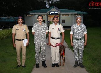 गडचिरोली पोलीस दलातील श्वान सारा हीने पटकाविले सुवर्णपदक