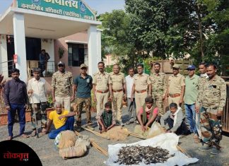 पक्षी सप्ताहादरम्यान पक्ष्यांची शिकार : सावली वनपरिक्षेत्राची धडक कारवाई